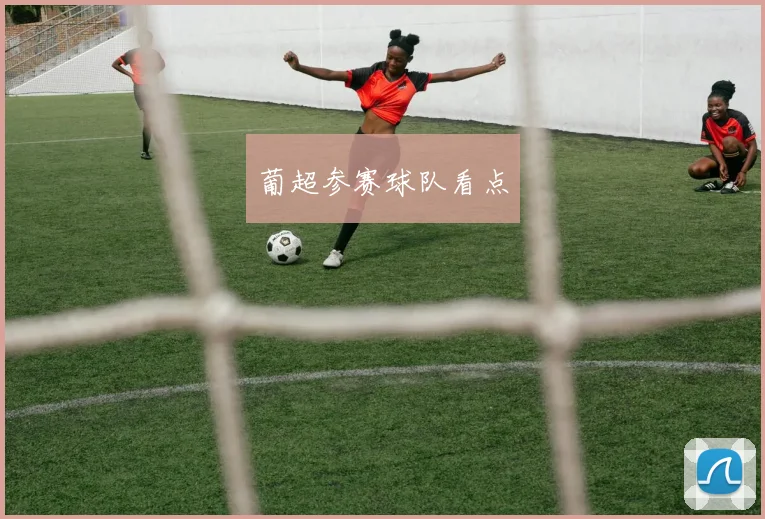 葡超参赛球队看点