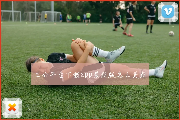 三公平台下载app最新版怎么更新